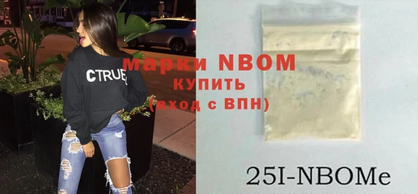 индика Аркадак