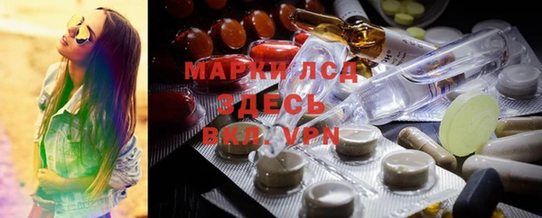 индика Аркадак