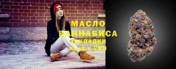 индика Аркадак