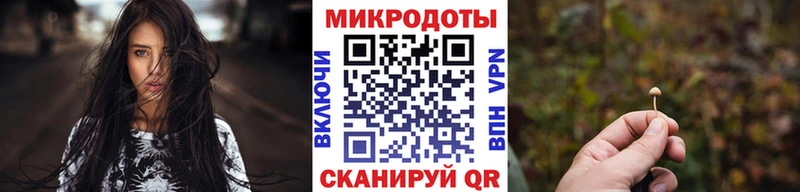 Галлюциногенные грибы Psilocybine cubensis hydra ссылка Нязепетровск даркнет сайт